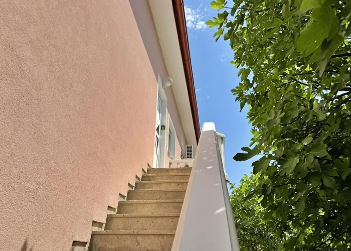 Vodopija ソリネ
